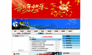 Bata.org.cn thumbnail