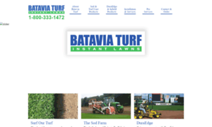 Bataviaturf.com thumbnail
