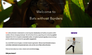 Batswithoutborders.org thumbnail