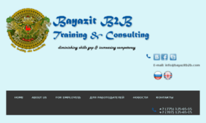 Bayazitb2b.com thumbnail