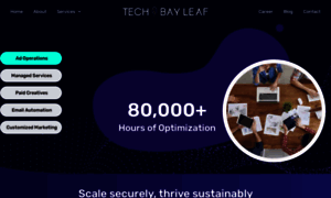 Bayleafglobal.com thumbnail