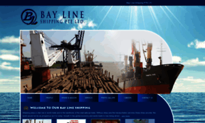 Baylineshipping.com thumbnail