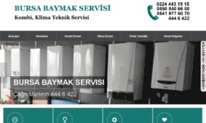 Baymakservis-bursa.com thumbnail