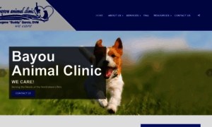 Bayouanimalclinic.com thumbnail