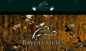 Bayoumetoland.com thumbnail