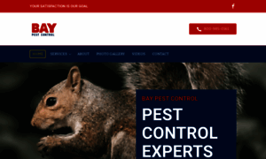 Baypestcontrolms.com thumbnail