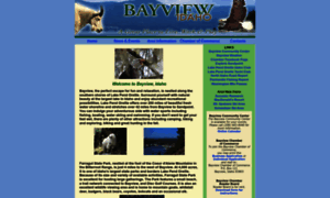 Bayviewidaho.org thumbnail