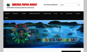 Bbksda-papuabarat.com thumbnail