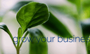 Bbworld.businessbrokerscrm.com thumbnail