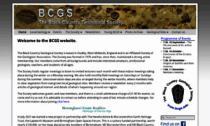 Bcgs.info thumbnail