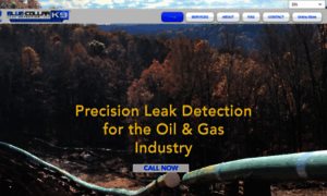 Bck9leakdetection.com thumbnail