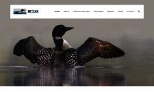 Bclss.org thumbnail