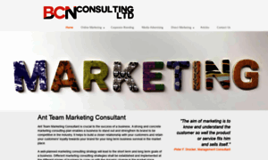 Bcnconsultingltd.com thumbnail