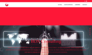 Bds-consulting.fr thumbnail