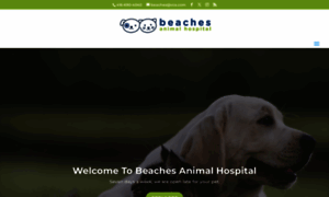 Beachesanimalhospital.com thumbnail