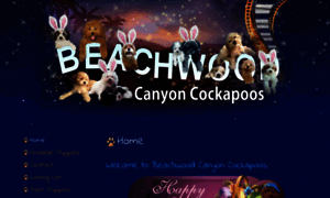 Beachwoodcanyoncockapoos.com thumbnail