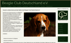Beagleclub.de thumbnail