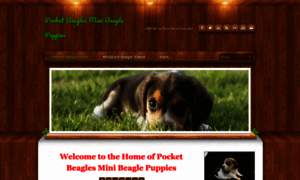 Beaglespocket.com thumbnail