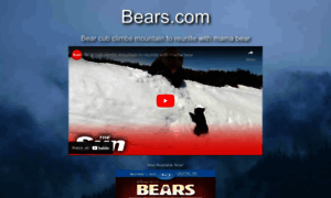 Bears.com thumbnail