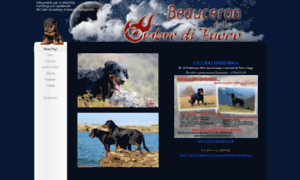 Beaucerondelleombredifuoco.it thumbnail