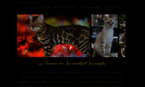 Beautifulbengals.com thumbnail