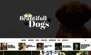 Beautifulldogs.de thumbnail