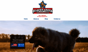 Beavercreekproducts.com thumbnail