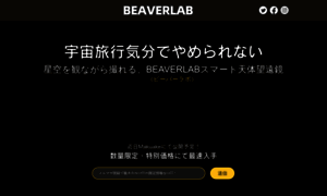 Beaverlab.online thumbnail