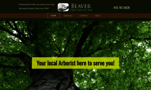 Beavertreeserviceinc.net thumbnail