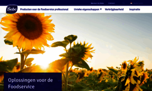 Bebo.nl thumbnail