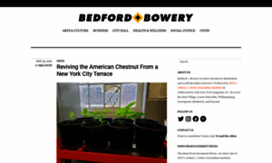 Bedfordandbowery.com thumbnail