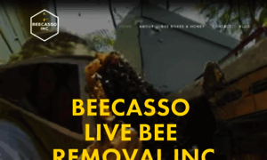 Beecassolivebeeremoval.com thumbnail