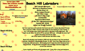 Beechhilllabradors.com thumbnail