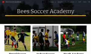 Bees.soccer thumbnail