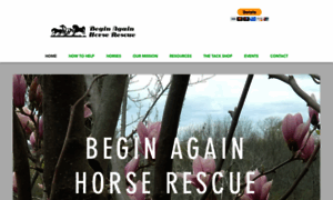 Beginagainrescue.org thumbnail