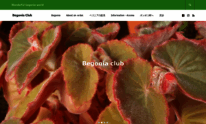 Begonia.club thumbnail