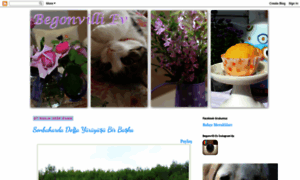 Begonvilliev.blogspot.com thumbnail