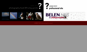 Belen.net thumbnail