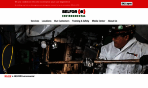 Belforenvironmental.com thumbnail