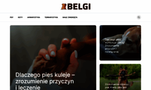 Belgi.pl thumbnail