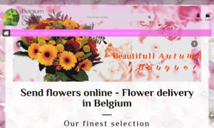 Belgium-flowers-online.be thumbnail