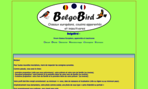 Belgobird.forumactif.com thumbnail