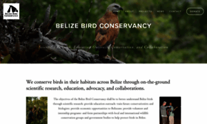 Belizebirdconservancy.org thumbnail