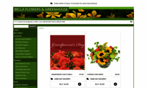 Bellaflowersandgreenhouse.net thumbnail