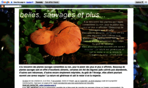 Bellessauvagesetplus.blogspot.com thumbnail