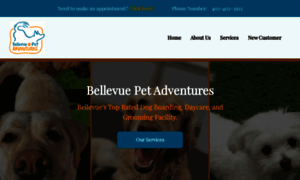 Bellevuepetadventures.com thumbnail