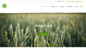 Bellisfood.pl thumbnail