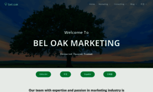 Beloakmarketing.com thumbnail