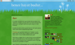 Bencehayatbudur.blogspot.com thumbnail