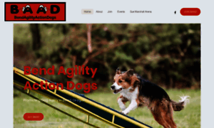 Benddogagility.com thumbnail